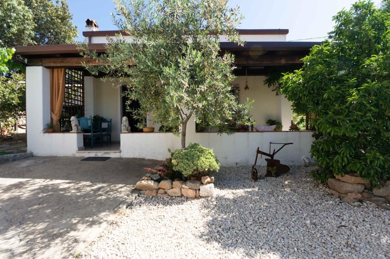 Villa Ferulas Oliena Ngoại thất bức ảnh