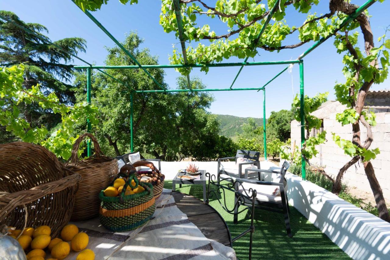 Villa Ferulas Oliena Ngoại thất bức ảnh