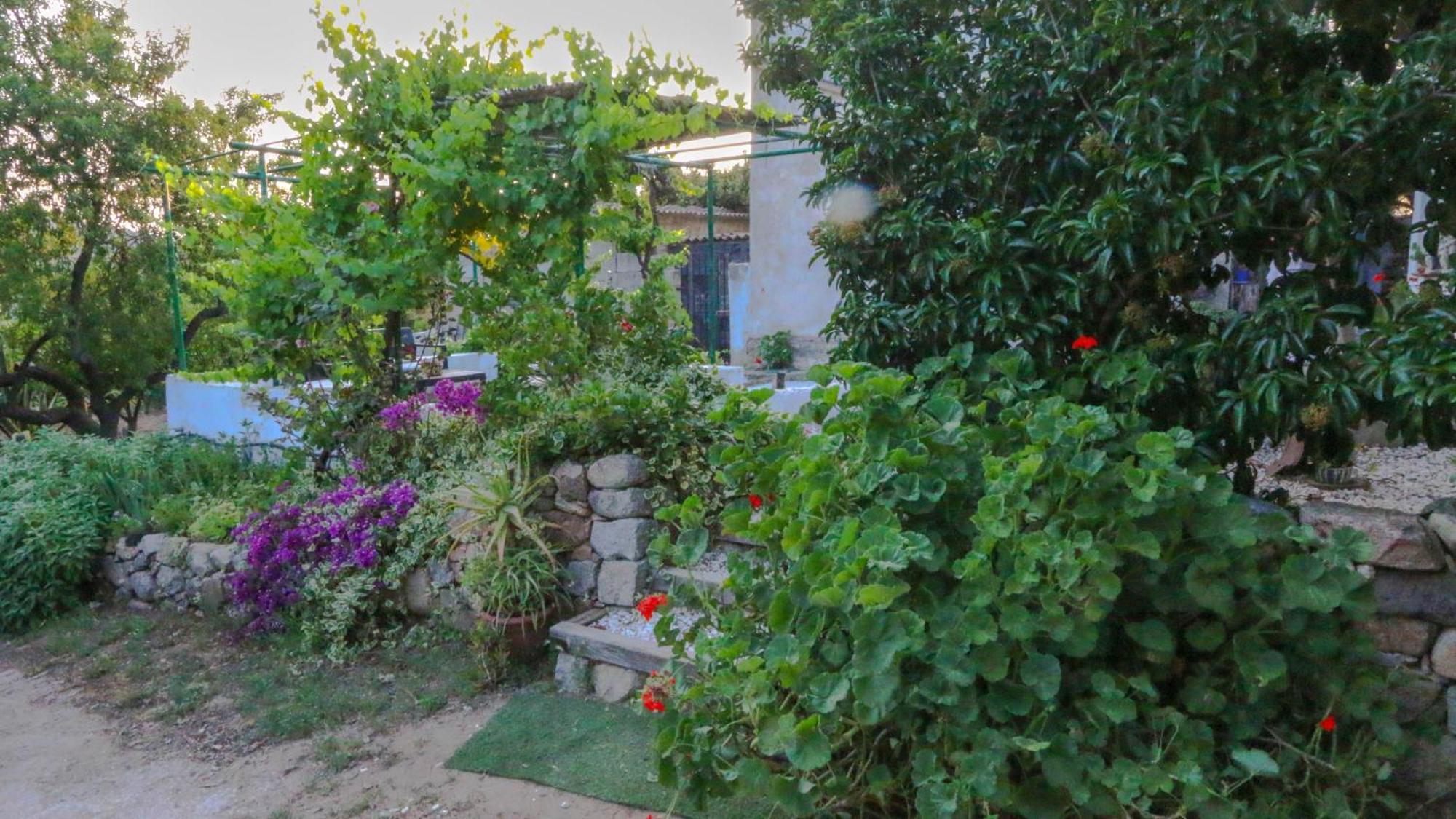 Villa Ferulas Oliena Ngoại thất bức ảnh