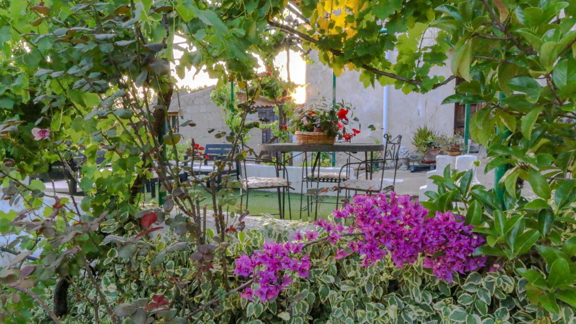 Villa Ferulas Oliena Ngoại thất bức ảnh